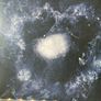 Swans - My Father Will Guide Me up a Rope to the Sky (First Press) Image 3