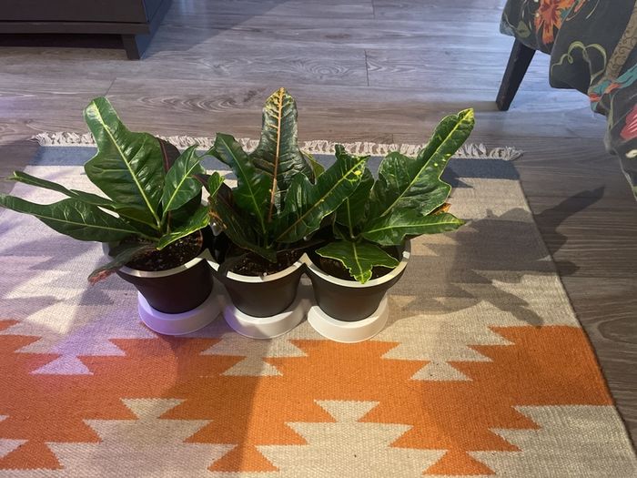 Plant pot