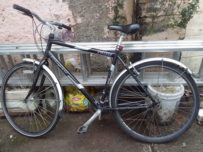 adult bike for sale