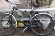 adult bike for sale