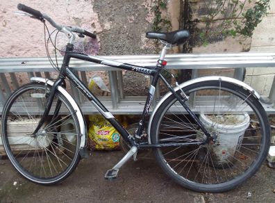 adult bike for sale