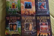 warrior cats series 1