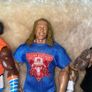 wwe wrestlers X5 Image 2