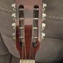 Irish bouzouki. Image 3