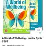 A World Of Well-being Junior Cycle CSPE Textbook and Reflective Journal Set Image 7