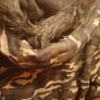 Gothicana by EMP camo jacket Image 8