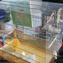 bird cage Image 3