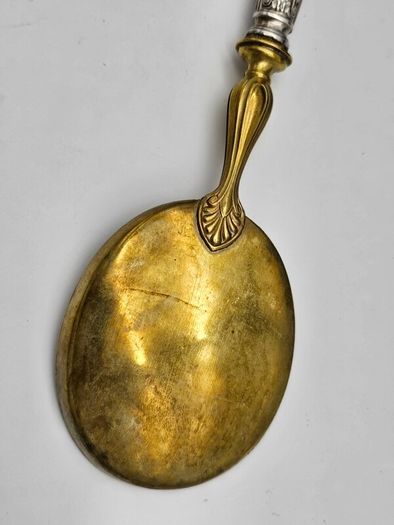 Antique 1800s Swiss Large Cream Spoon with Silver Handle