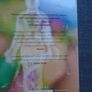 How we live,The Wisdom of the body, Paperback book Image 2