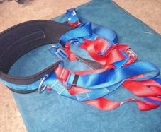Portwest 2-point comfort safety harness