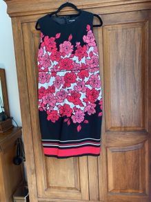 Ladies dress