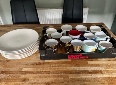 Assortment of Mugs and 7 Dinner plates