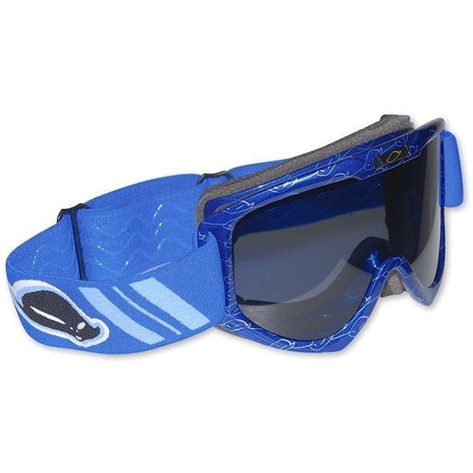 Fusion Evolution Goggles