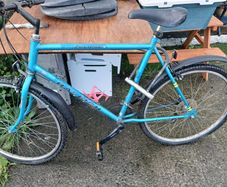 Raleigh bike