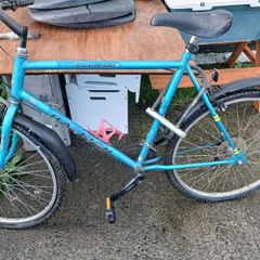 Raleigh bike