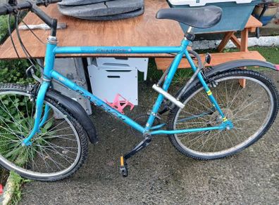 Raleigh bike