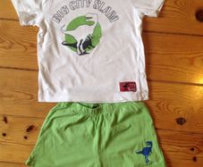 Age 3 Dinosaur Shorts & Top Set