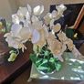 orchid. flower Image 3