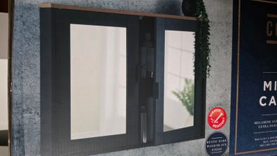 Mirror Cabinet