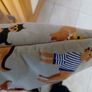 Apron/Oven Gloves/Double Oven Glove Image 5