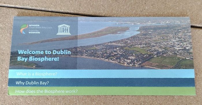 Premium Vintage Irish Culture, Guinness & Gardening Book Bundle 1980-1999