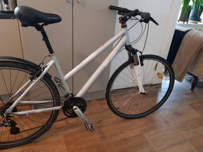 ladies  bike( can deliver)