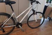 ladies  bike( can deliver)