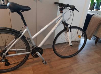 ladies  bike( can deliver)