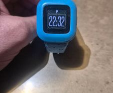 Garmin watch