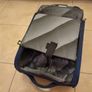 2 wheel travel cabin case with extendable handle. Image 6