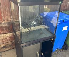 200L Fish Tank