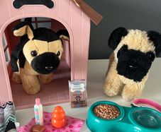 Our Generation Doll Bundle
