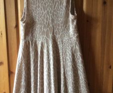 River island dress