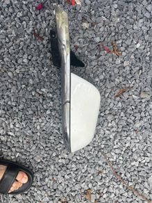 Tesla passenger wing