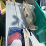 SIP 10 inch Table Saw 1600W with Accessories Image 4