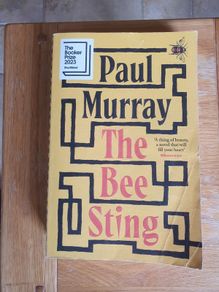 The Bee Sting by Paul Murray (shortlisted for Booker Prize 2023).