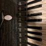 accordion fisitalia Image 2