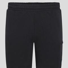 Rep. Ireland Mens Football Shorts (XL)