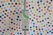 Extendable Curtain Pole