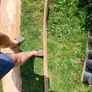 Live edge Timber Image 9