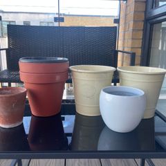 Collection of assorted plant pots