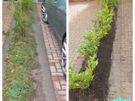 Rock Road Paving and landscaping Image 6