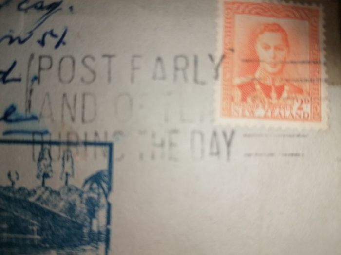 Wellington New Zeland Vintage Postcard Views