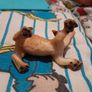 Papo lion cubs, retired, rare Image 6