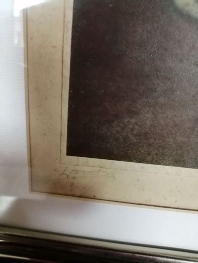 Large Vintage Framed Tinted Photo Portrait of a Young Girl