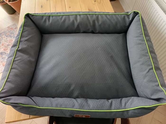 free dog bed