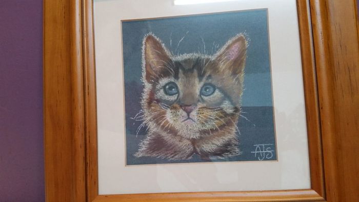 Watercolour of cat