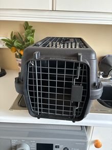 Anione transport / carrier pet box