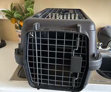 Anione transport / carrier pet box