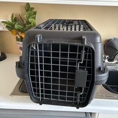 Anione transport / carrier pet box